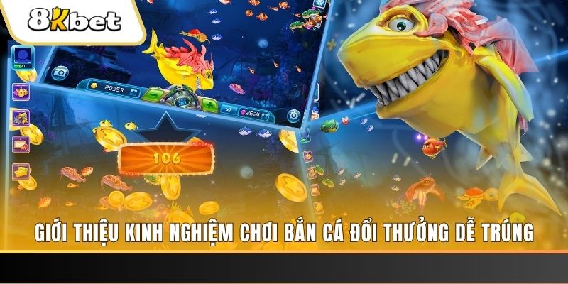 fi8811 casino Sòng bạc